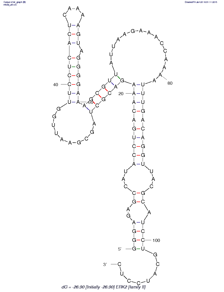ERK 1/ ERK2 (Family II) structure