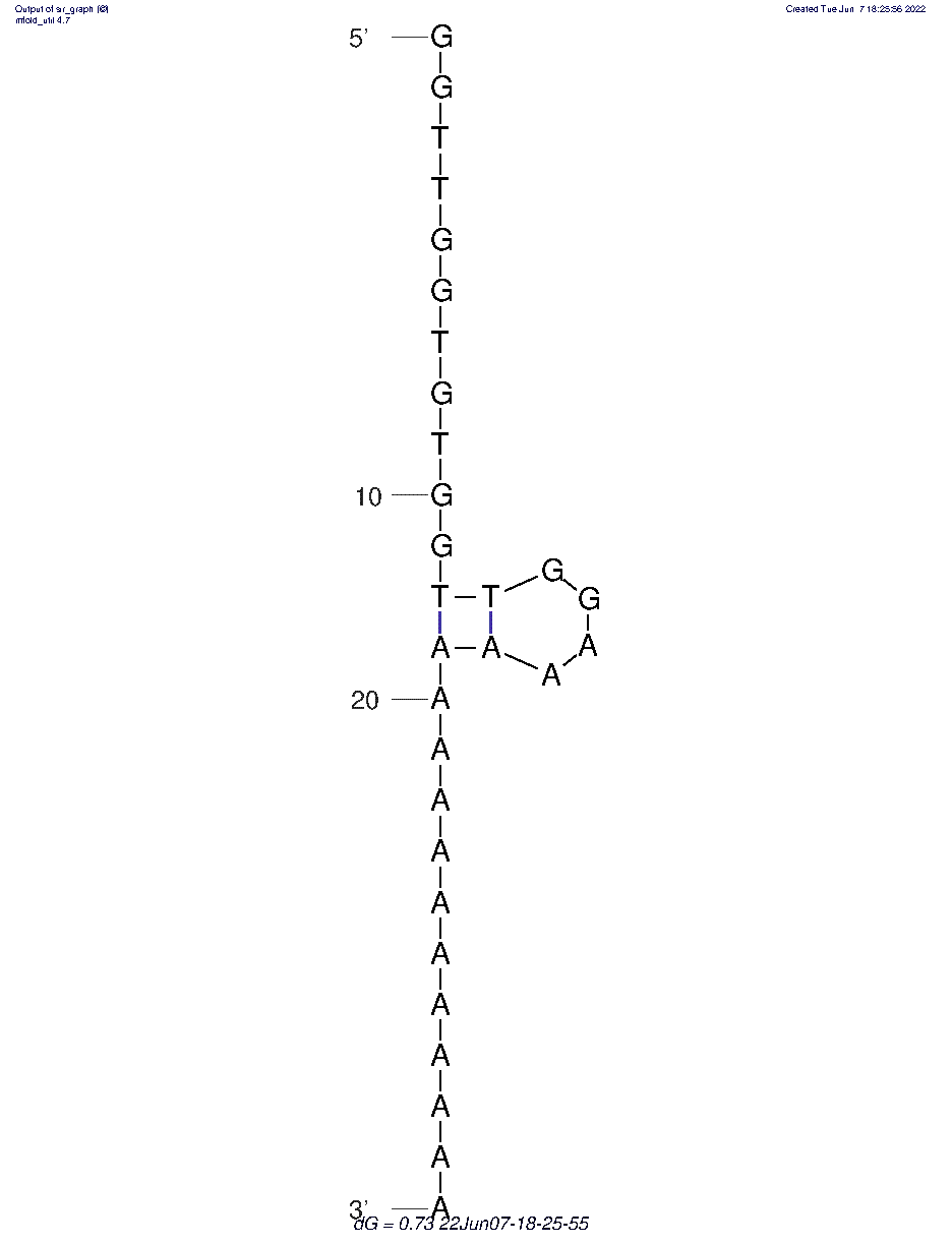 HD1-15dA structure