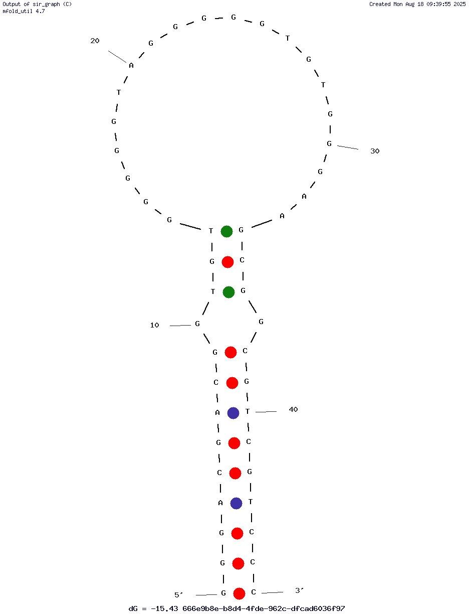 FXd structure