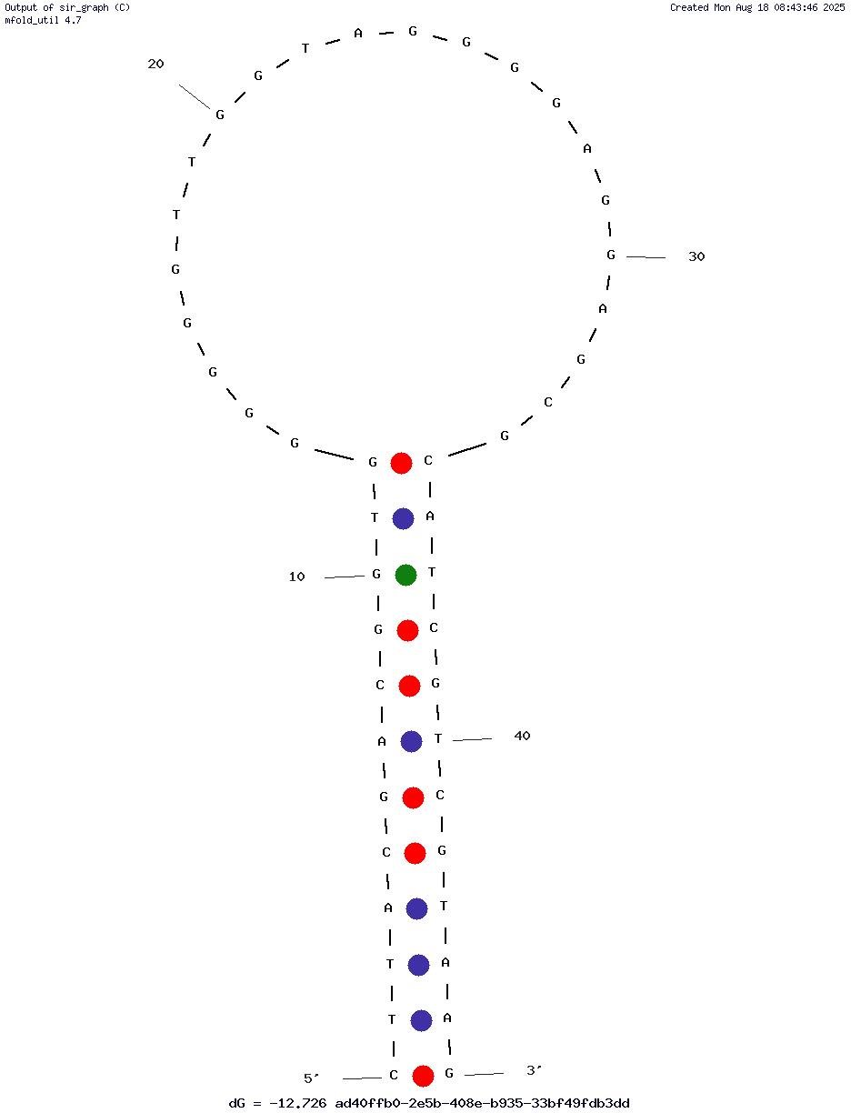 NC1947 structure