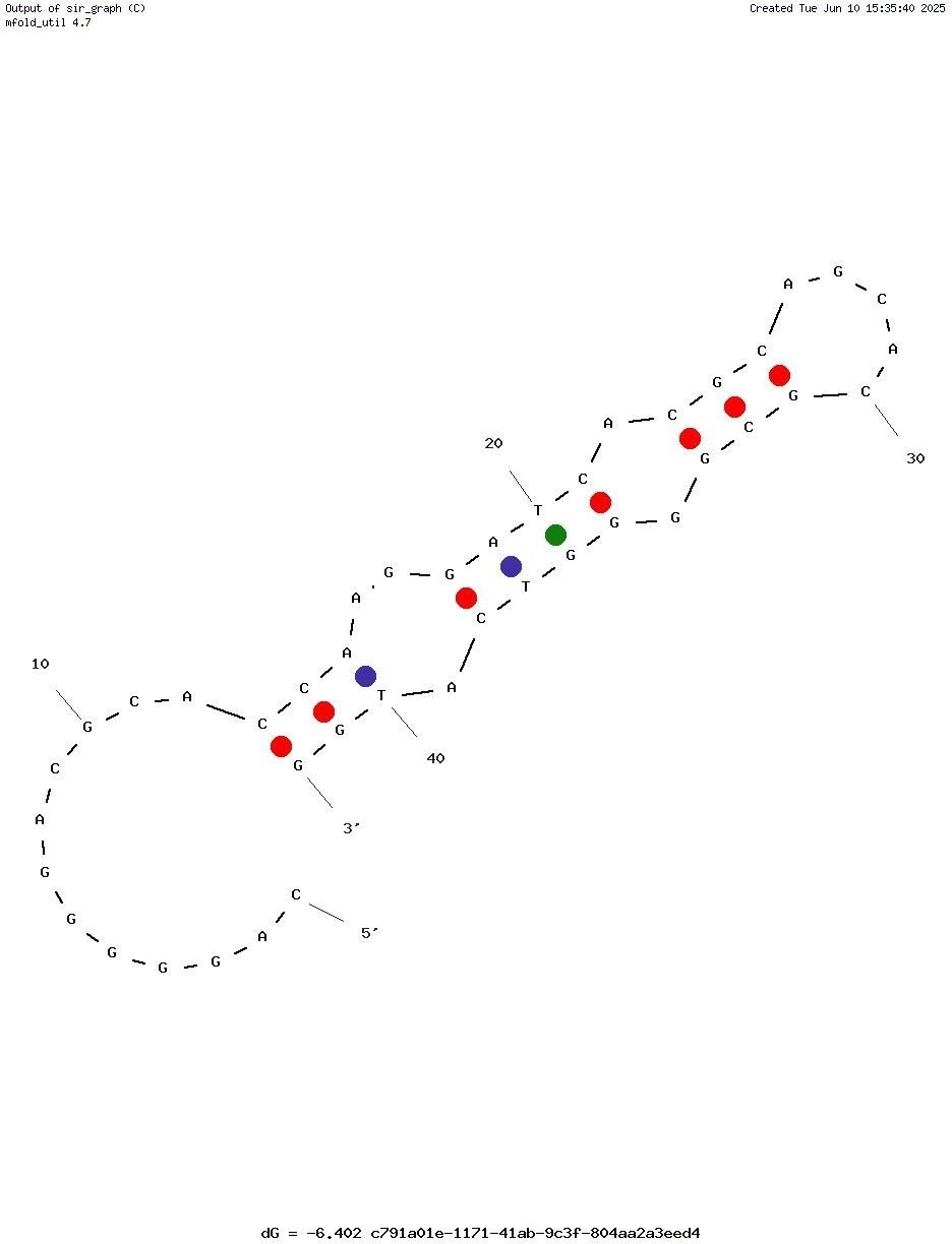 HuNoV-GII Aptamer structure