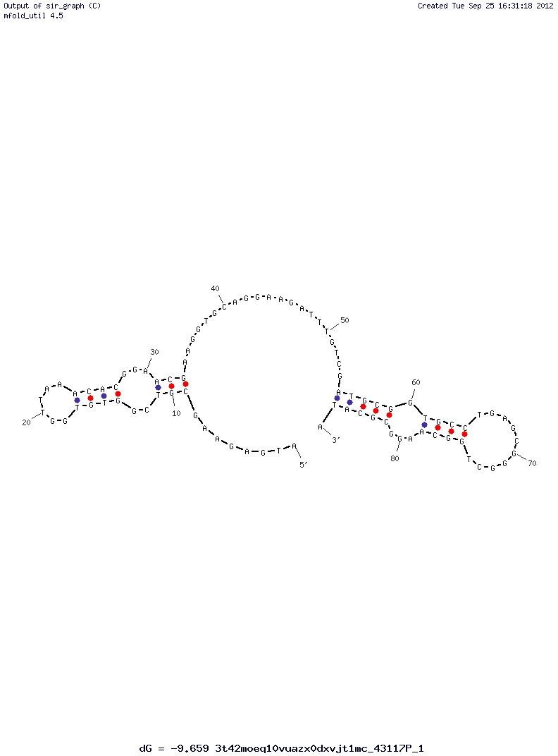 Adipose Tissue (adipo-8) structure