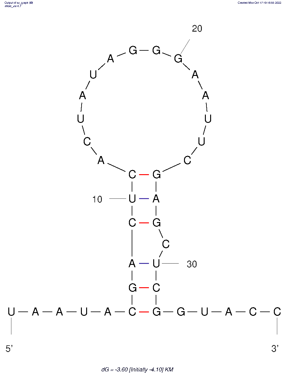 KM41 structure