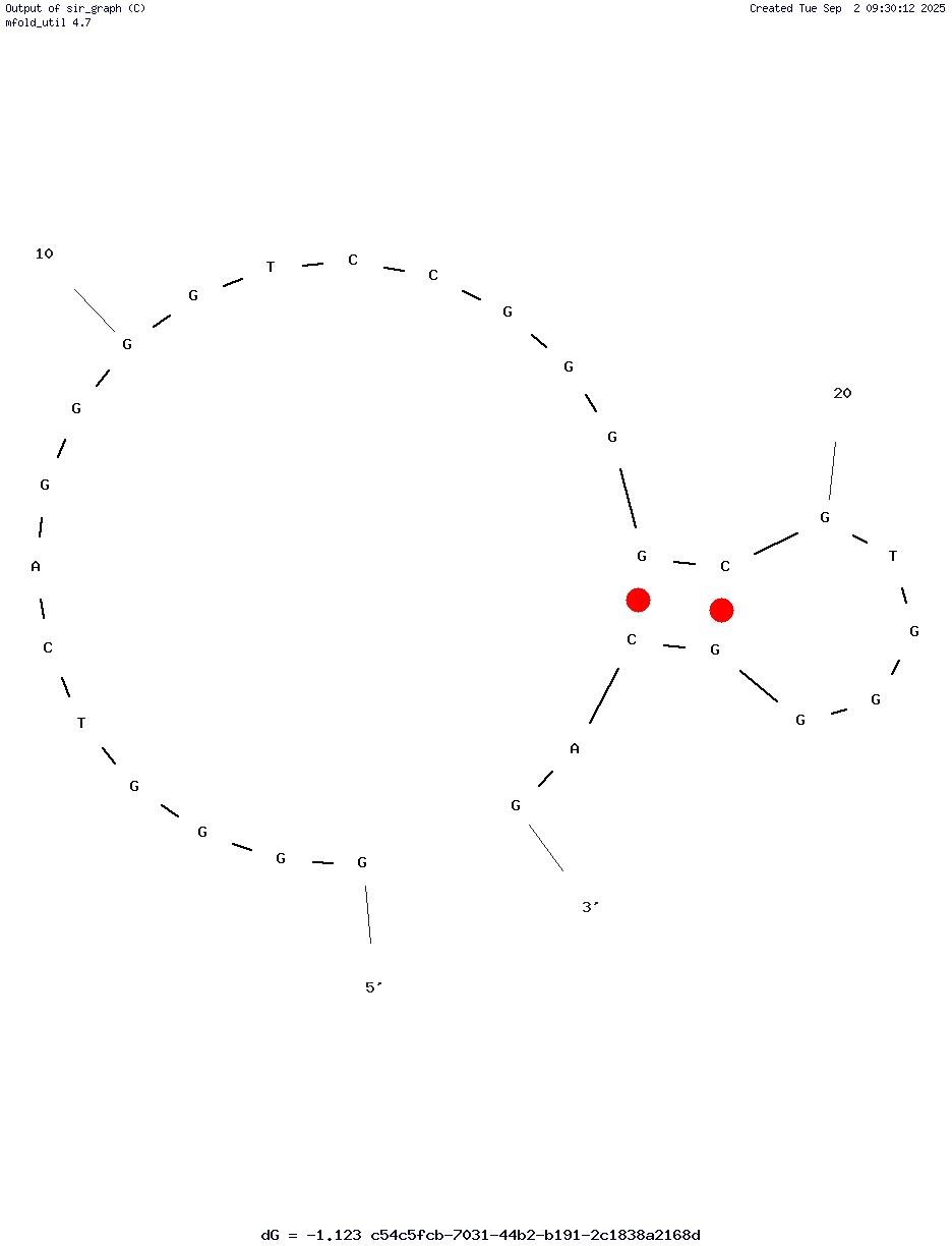 Apt 29-25 structure