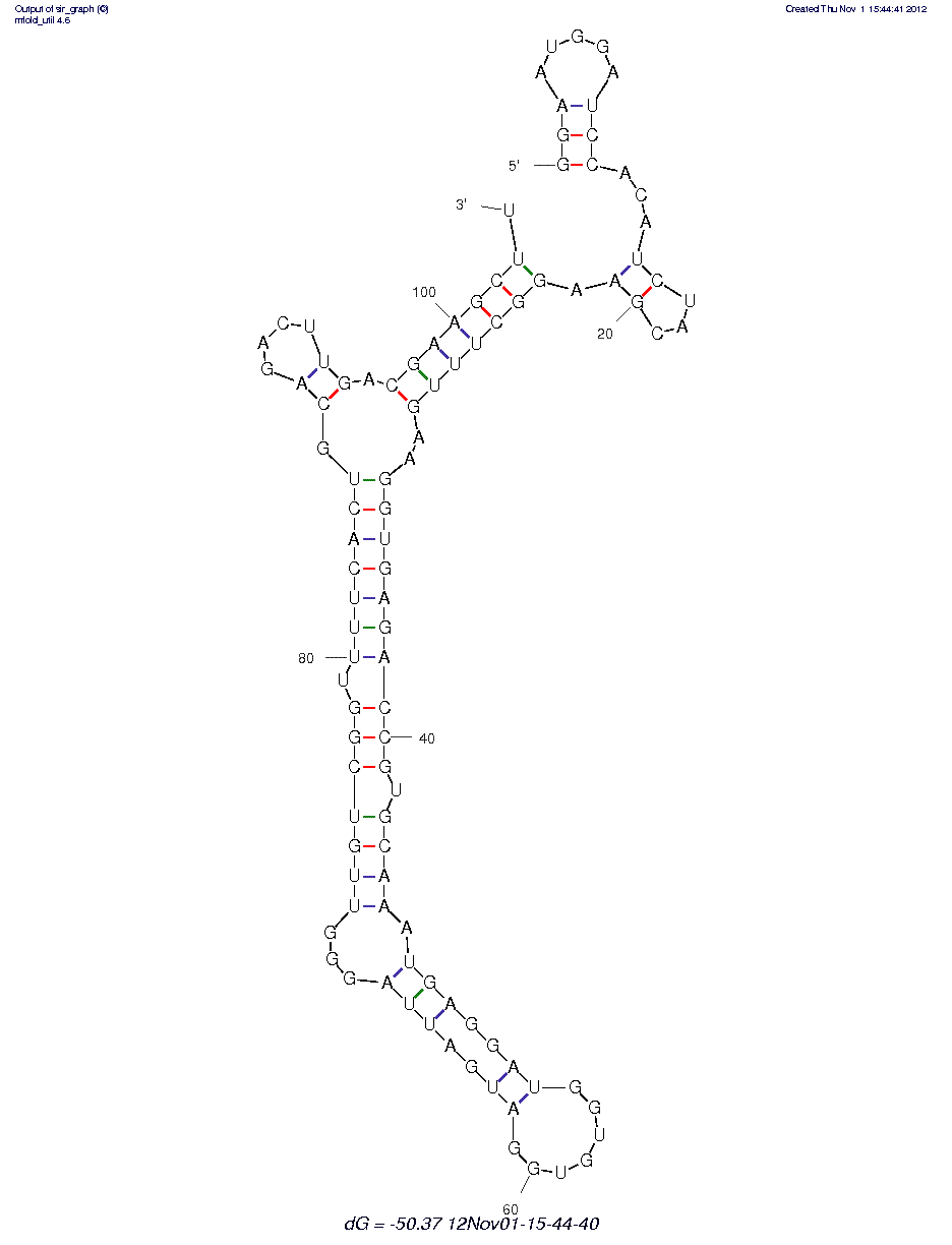 RNA Tobramycin Molecular Beacon (BA 14-2) structure