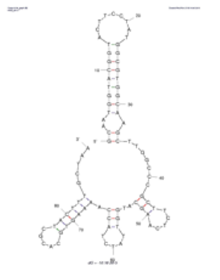20-10 structure