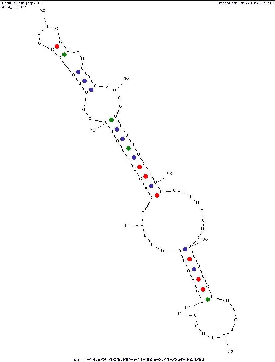 HA Clone B structure