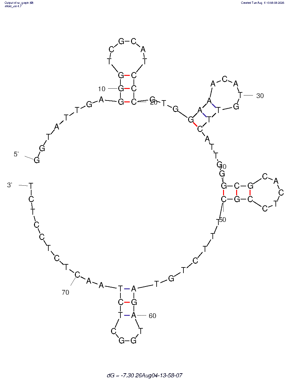 Saxitoxin (Apt STX1) structure