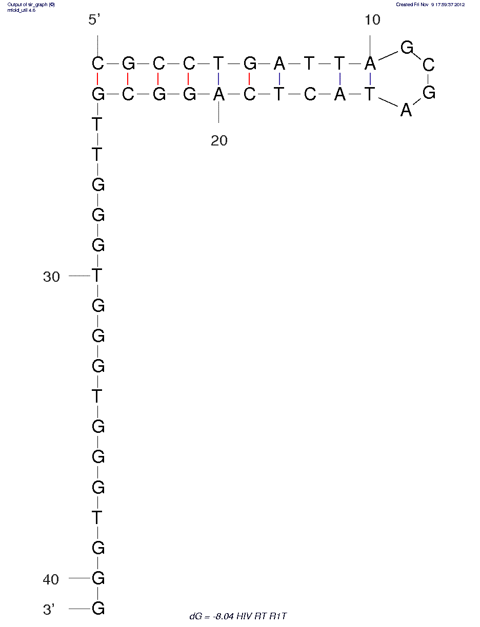 HIV-1 Reverse Transcriptase (R1T) structure