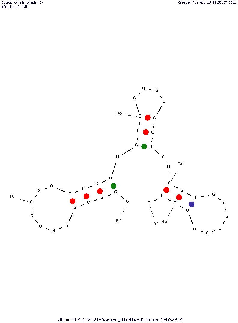 S-adenosyl homocysteine (CTH-5) structure