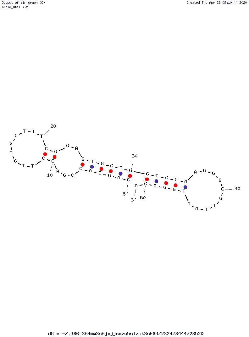 SARS-CoV-2 Aptamer 1C structure