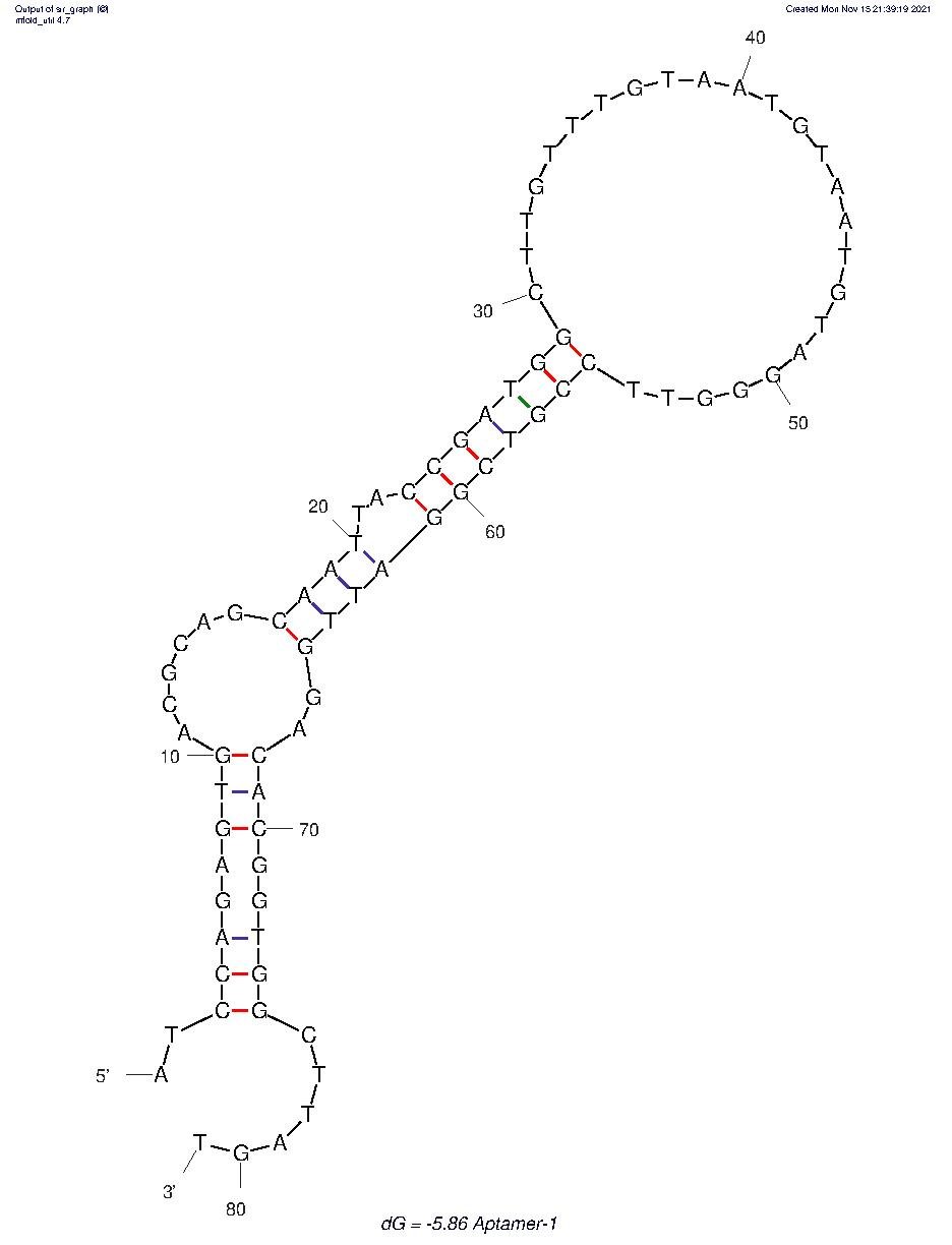 Aptamer-2 structure