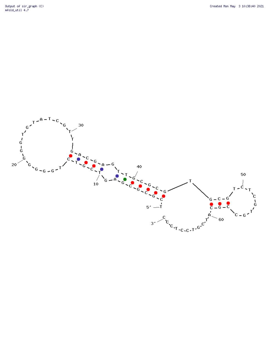 Apta 3 structure