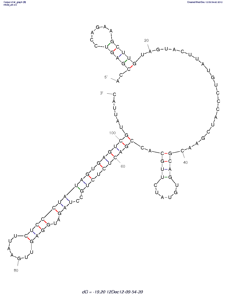 Trypanosoma cruzi-Laminin Parasite Receptor (L28) structure