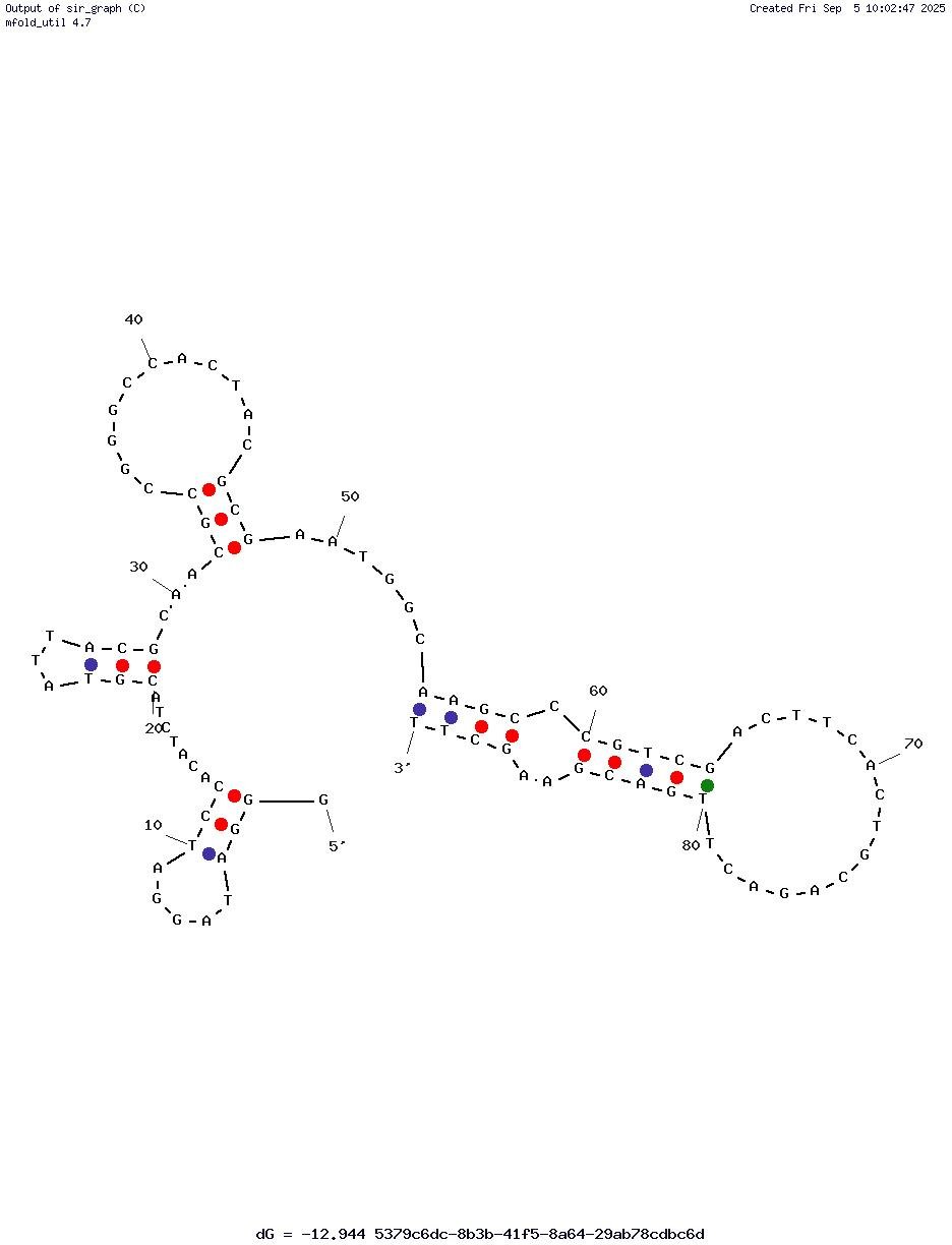 TH14 structure