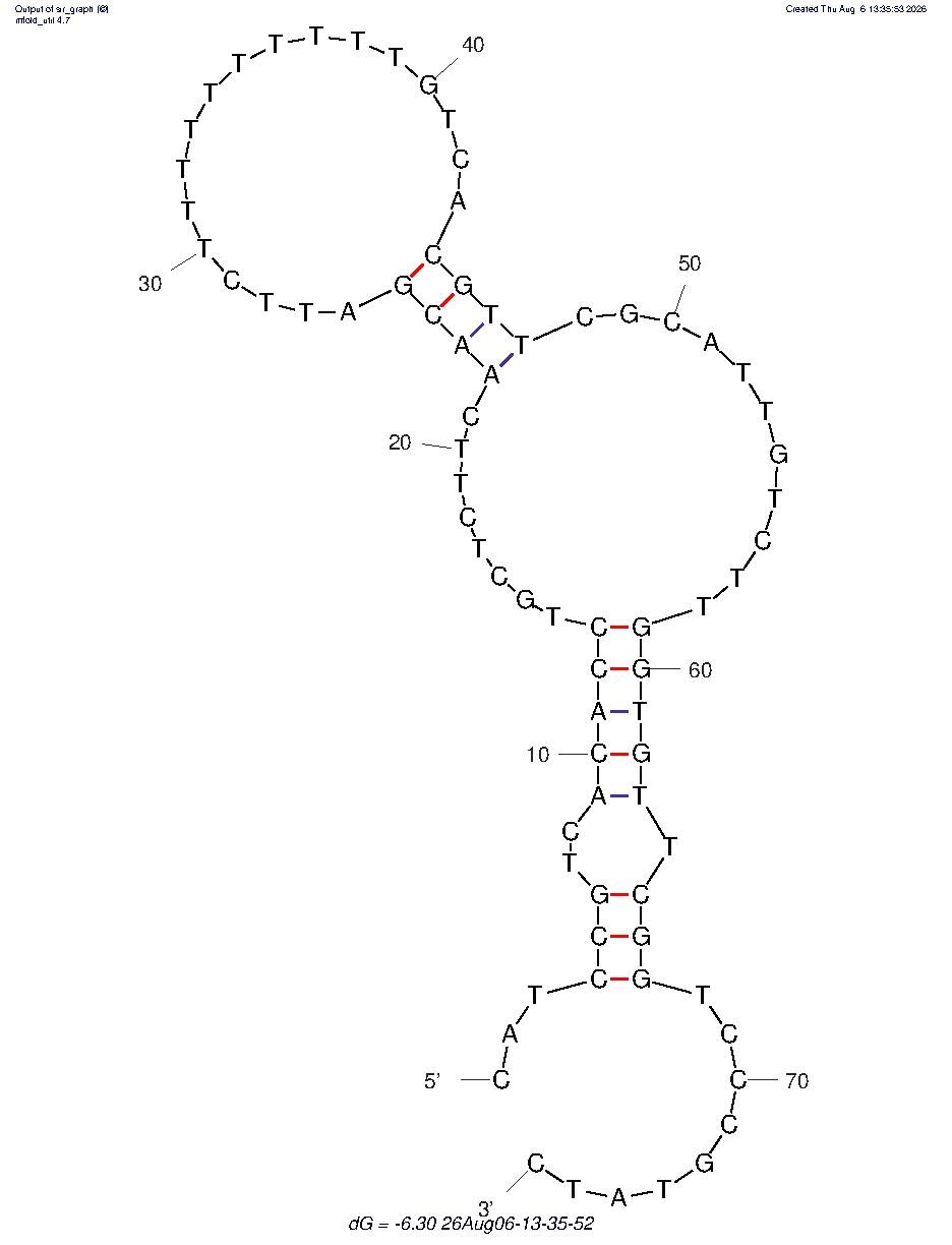 Lysozyme Protein Aptamer (LysApt 2) structure