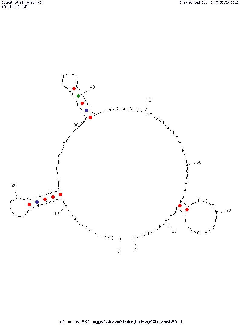Non-small Cell Lung Cancer (S6) structure