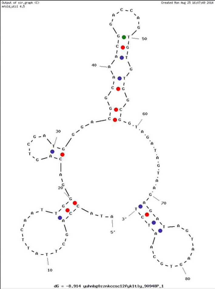 Nanobioprobe mediated DNA aptamer structure