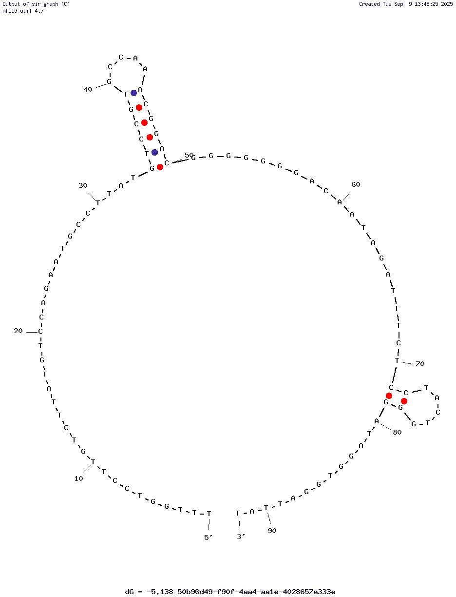17OAp1-24mm structure