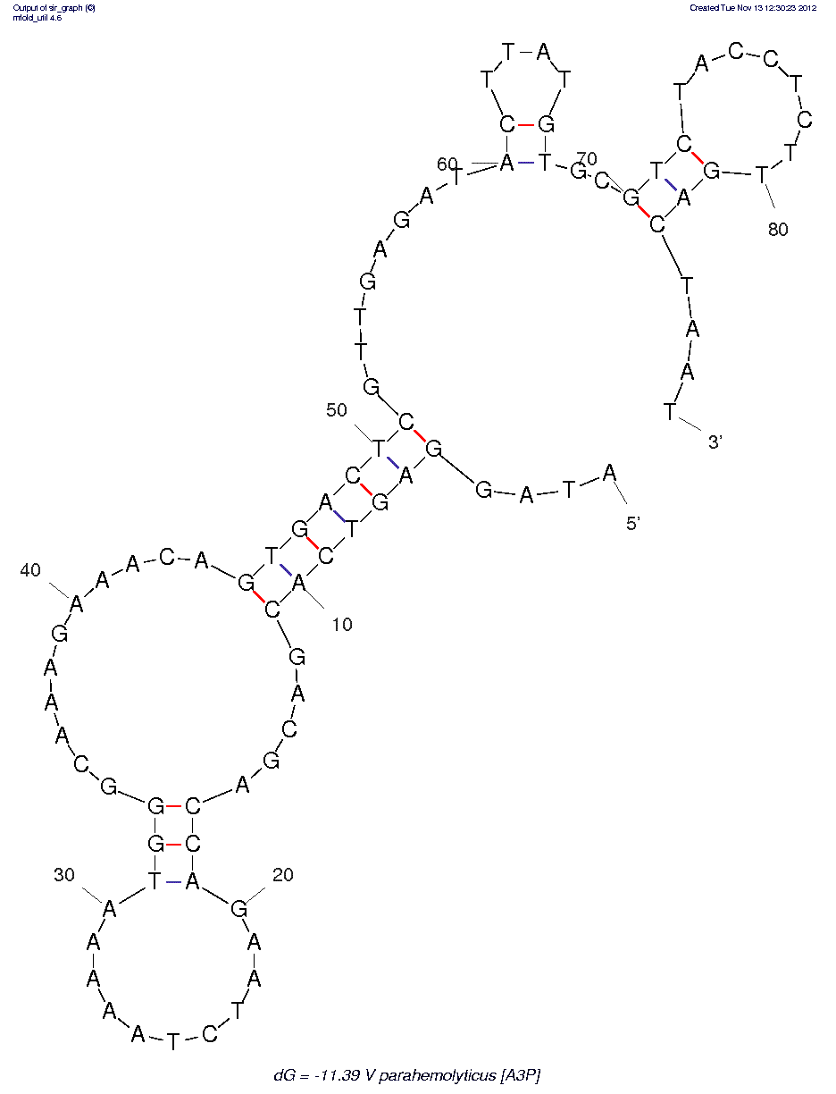 V. parahemolyticus (A3P) structure