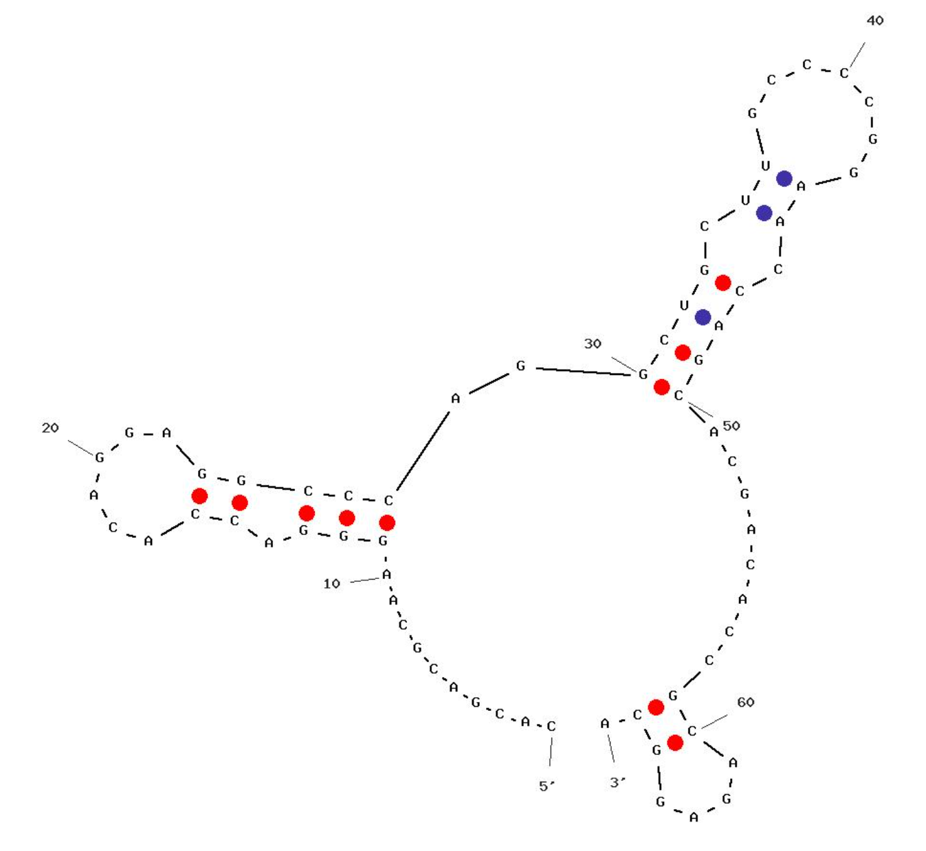 TAR S3 structure