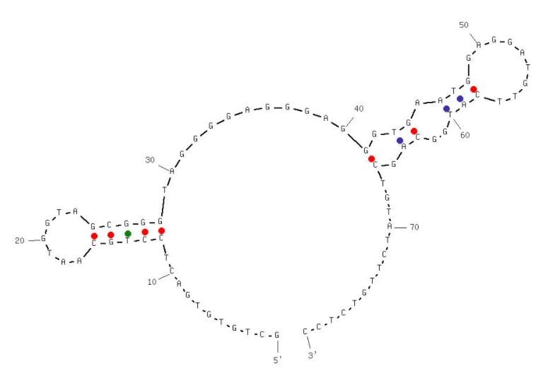 C42 structure