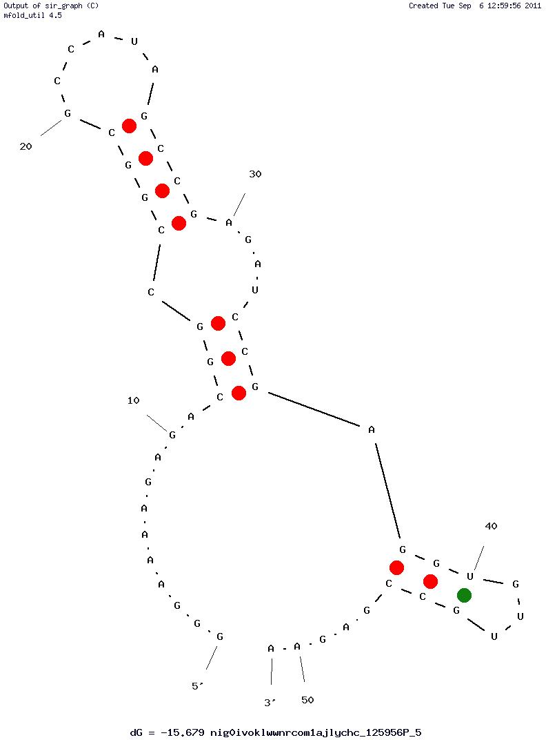 Human Nonpancreatic Secretory Phospholipase A2 (Aptamer 15) structure