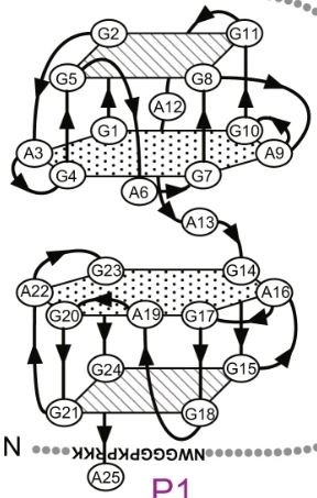 R12-A-12 structure
