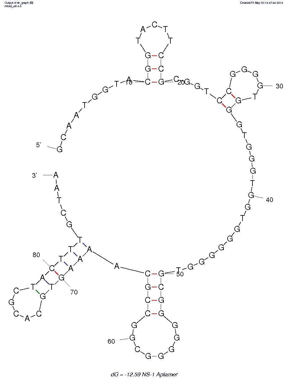 NS-1 Aptamer structure