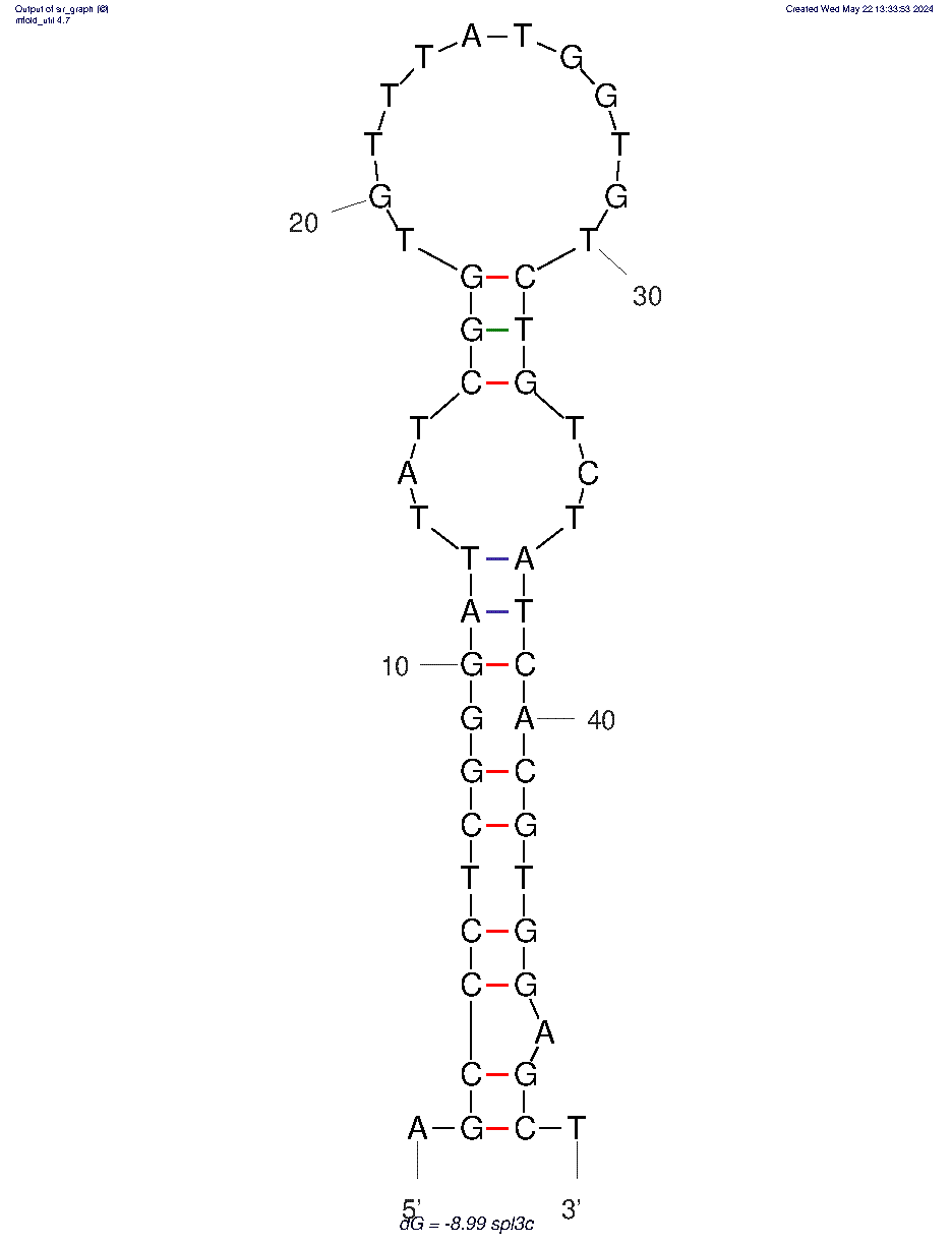 spl3c structure