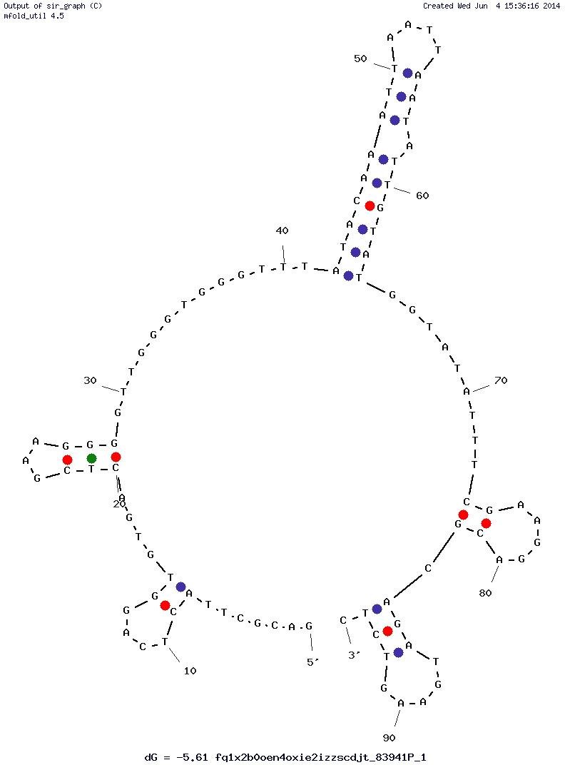 K19 structure