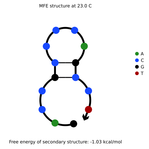 Aptamer 1 – Switch antisense structure