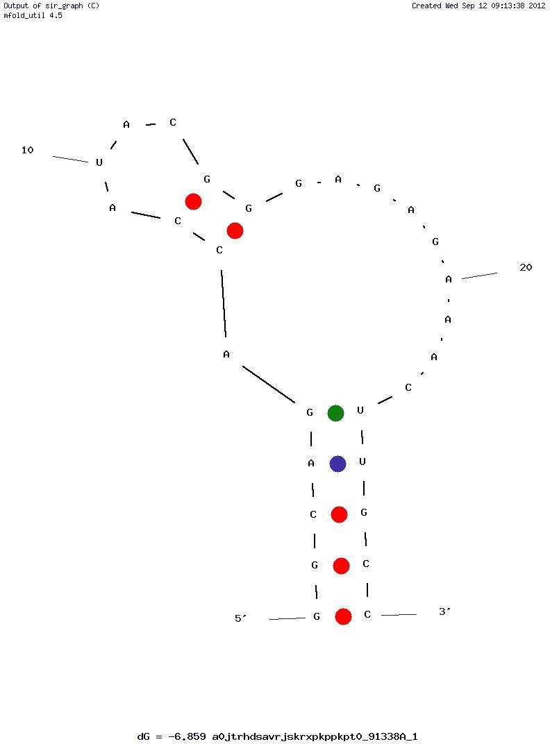 GRK2 (C13.28) structure