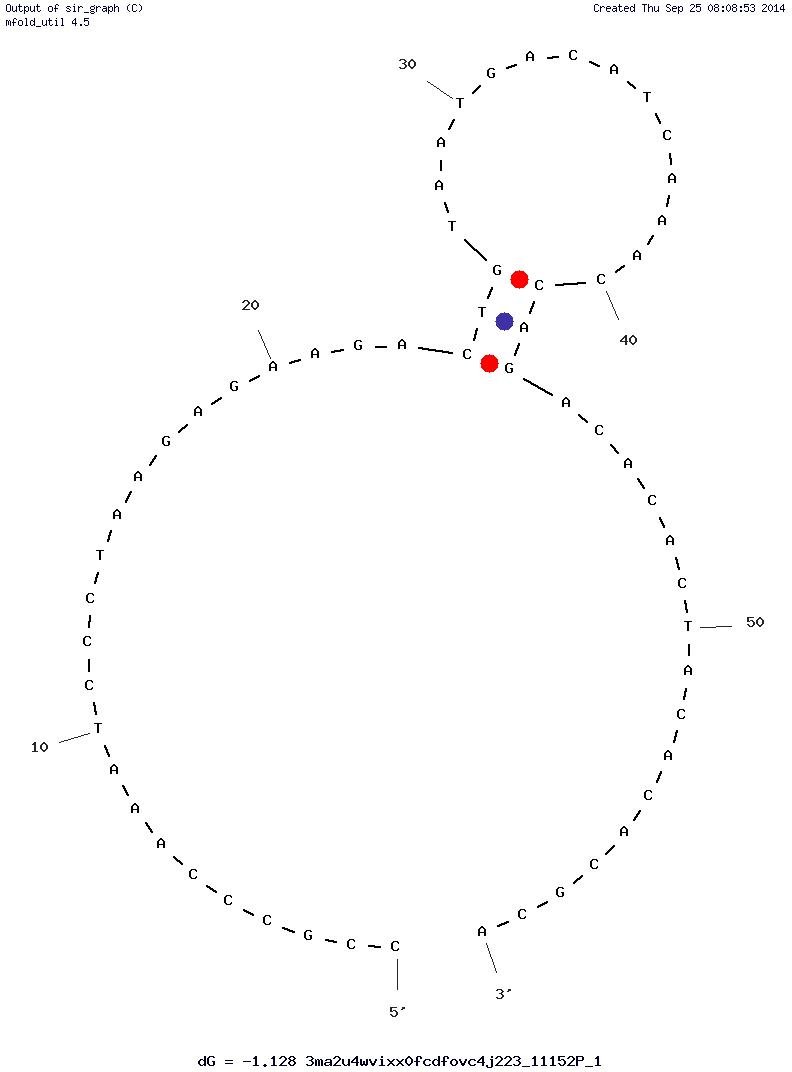 B1-4 structure