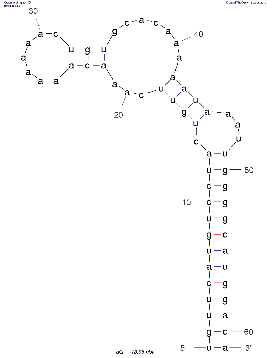 Hepatitis B Virus (HBV) Polymerase (P protein) (A9) structure