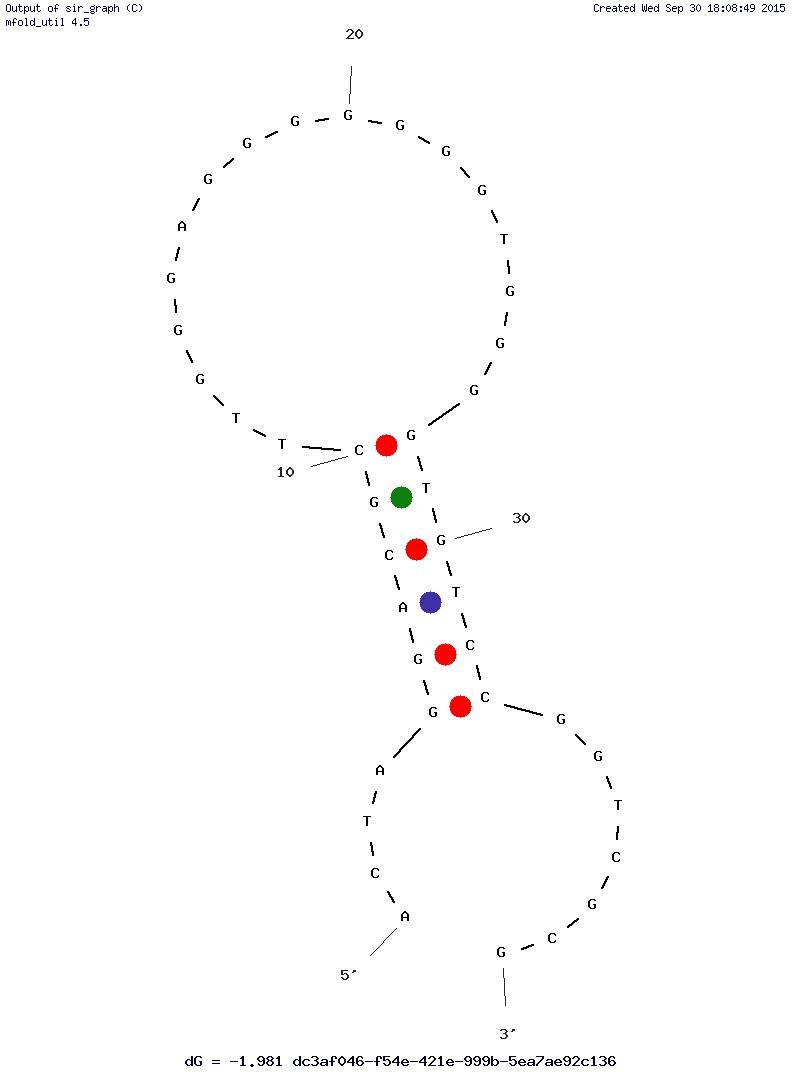 C5s Anti-Antibody structure