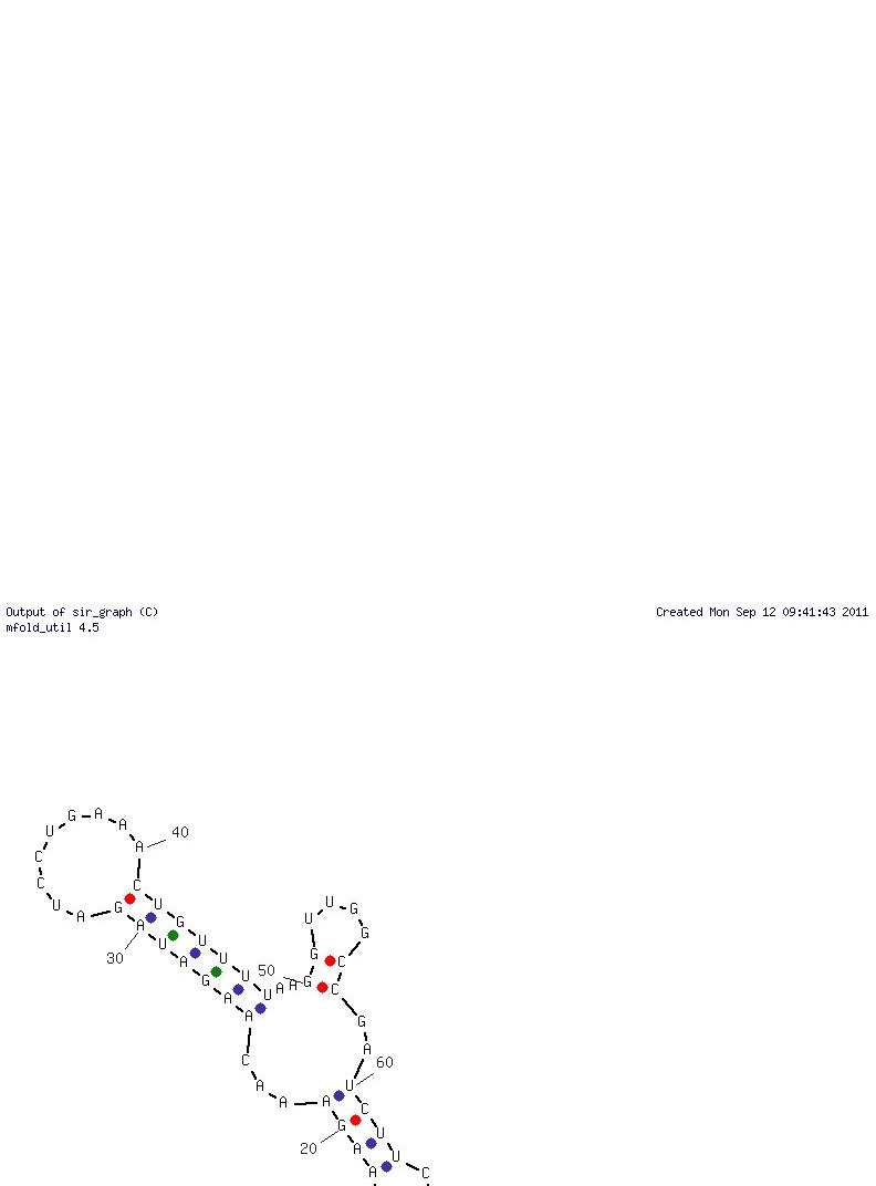 NF-kappa B (Aptamer 3) structure
