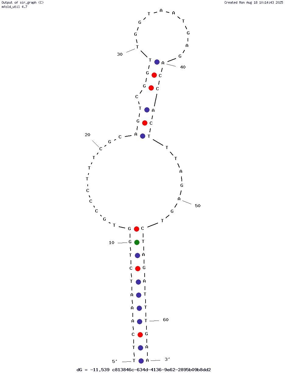 ML2 structure