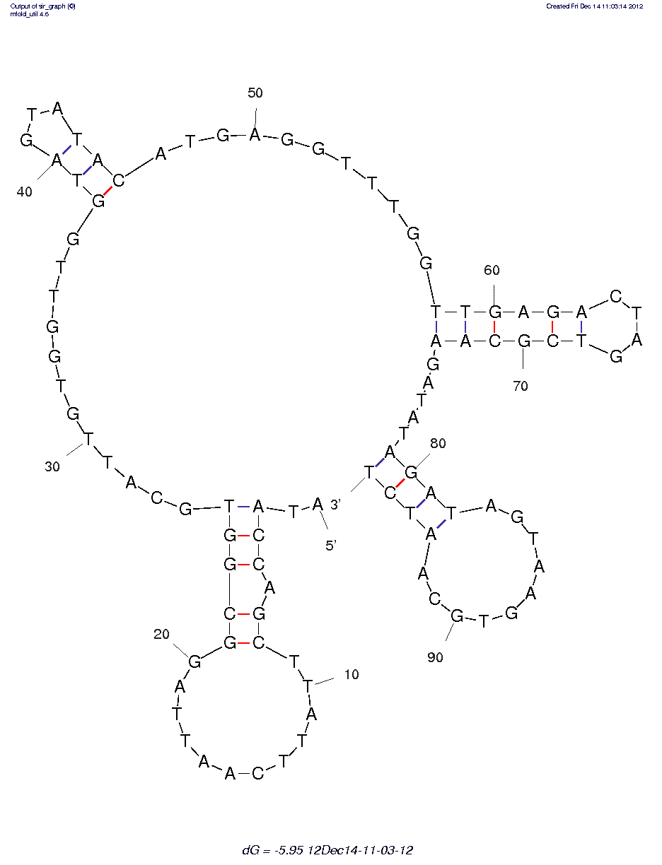 YPEN-1 Endothelial Cells (III.1) structure