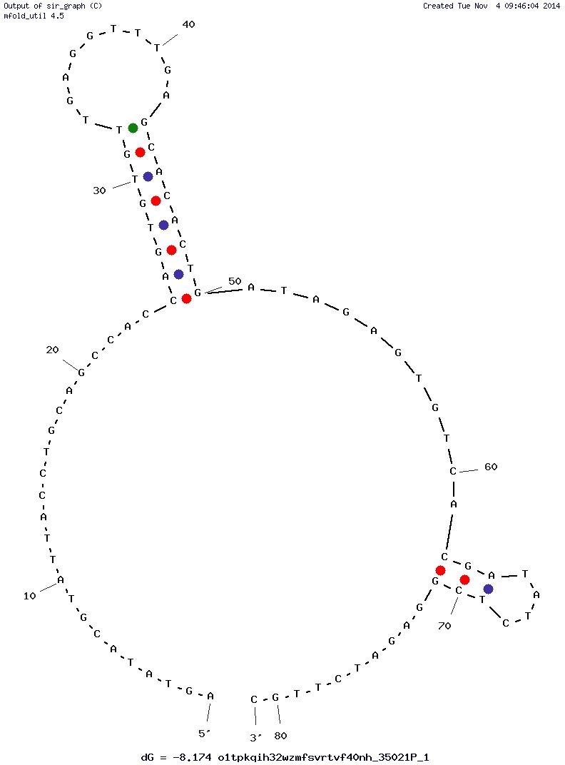 Human Norovirus SMV-19 structure