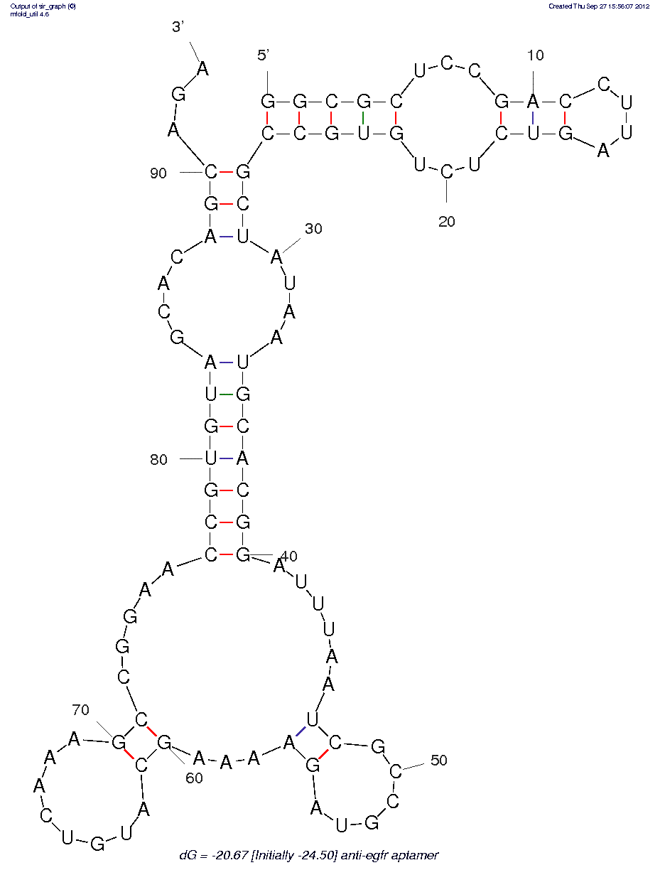 Anti-EGFR (E07) structure