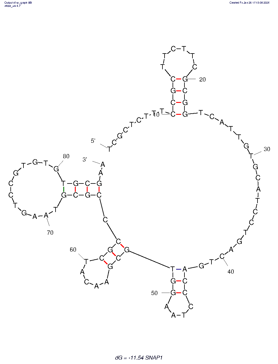 SNAP1 Aptamer SARS-CoV-2 S Protein structure