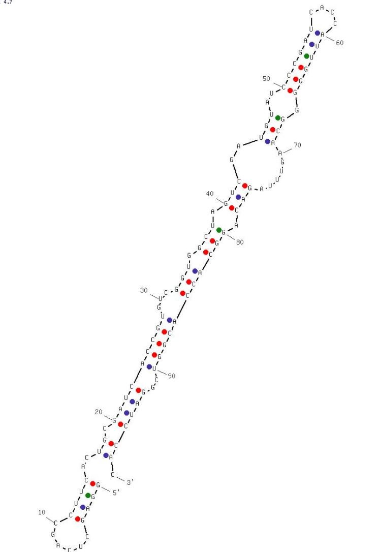 SECURA-3 structure