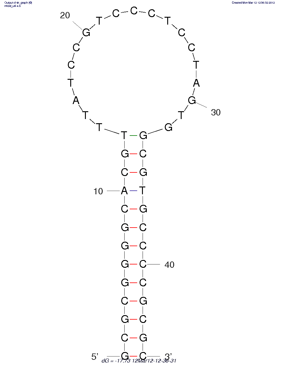 Anti-IgE Aptamer, D 17.4 ext structure