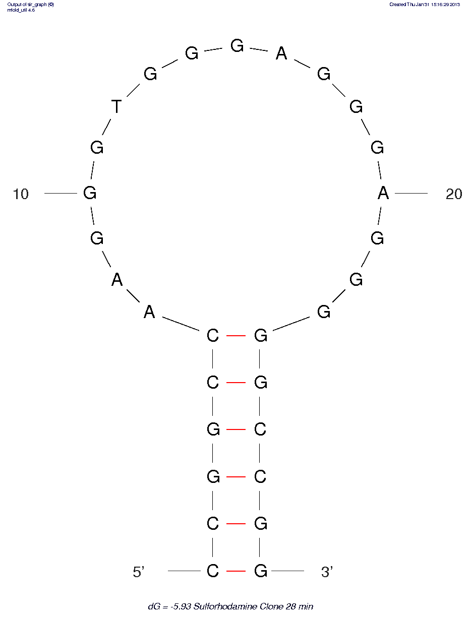Sulforhodamine B (Clone 73 – min) structure