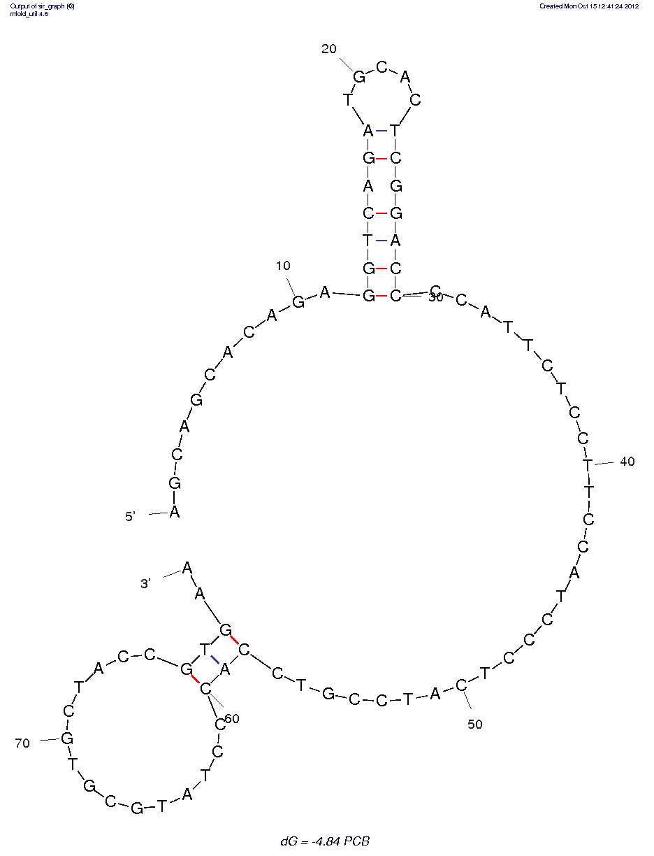 PCB72 (Aptamer 9.3) structure