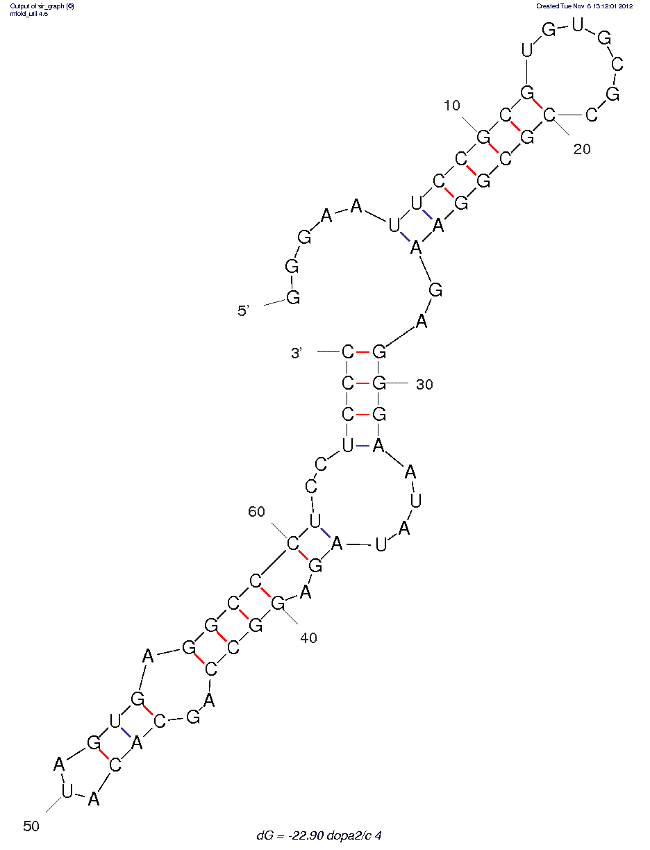 Dopamine (dopa2/c.4) structure