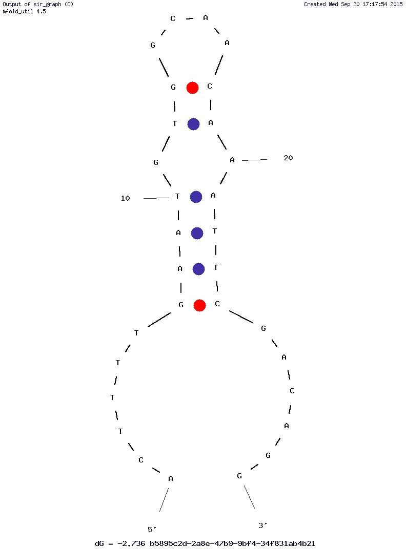 1.5 M Short Anti-Heparanase Aptamer structure
