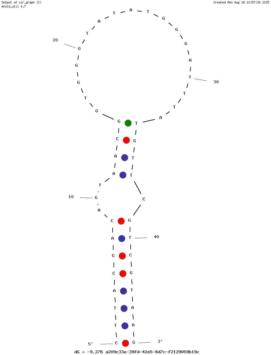 NC42 structure