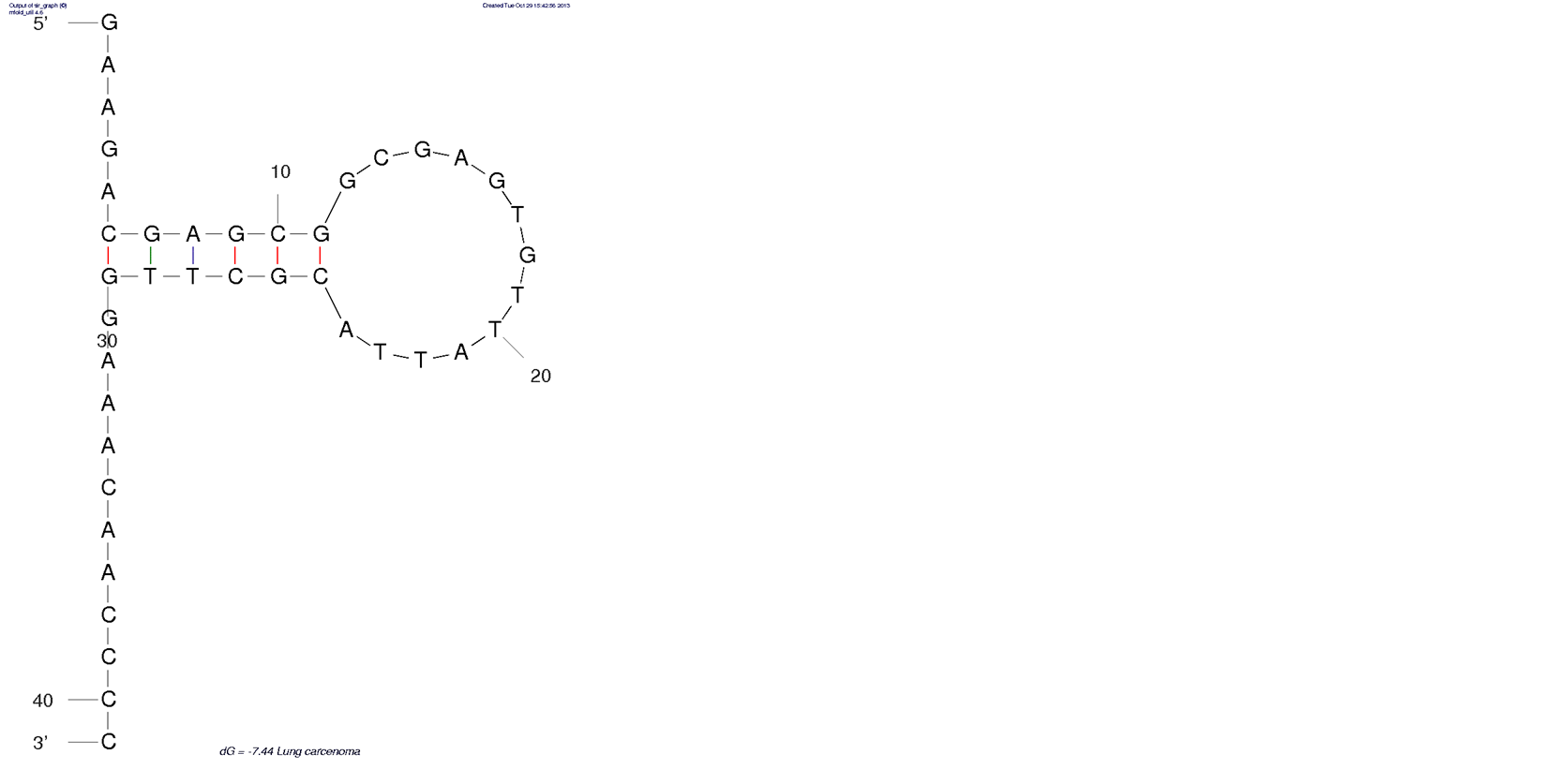 Anti Lung Carcinoma ( EJ4) structure